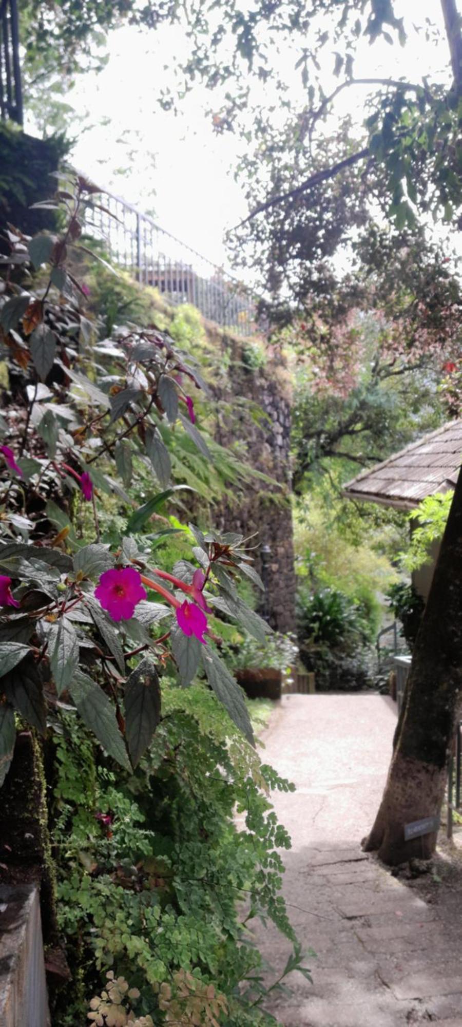 Blackberry Hills Munnar Nature Resort & Spa Exterior photo