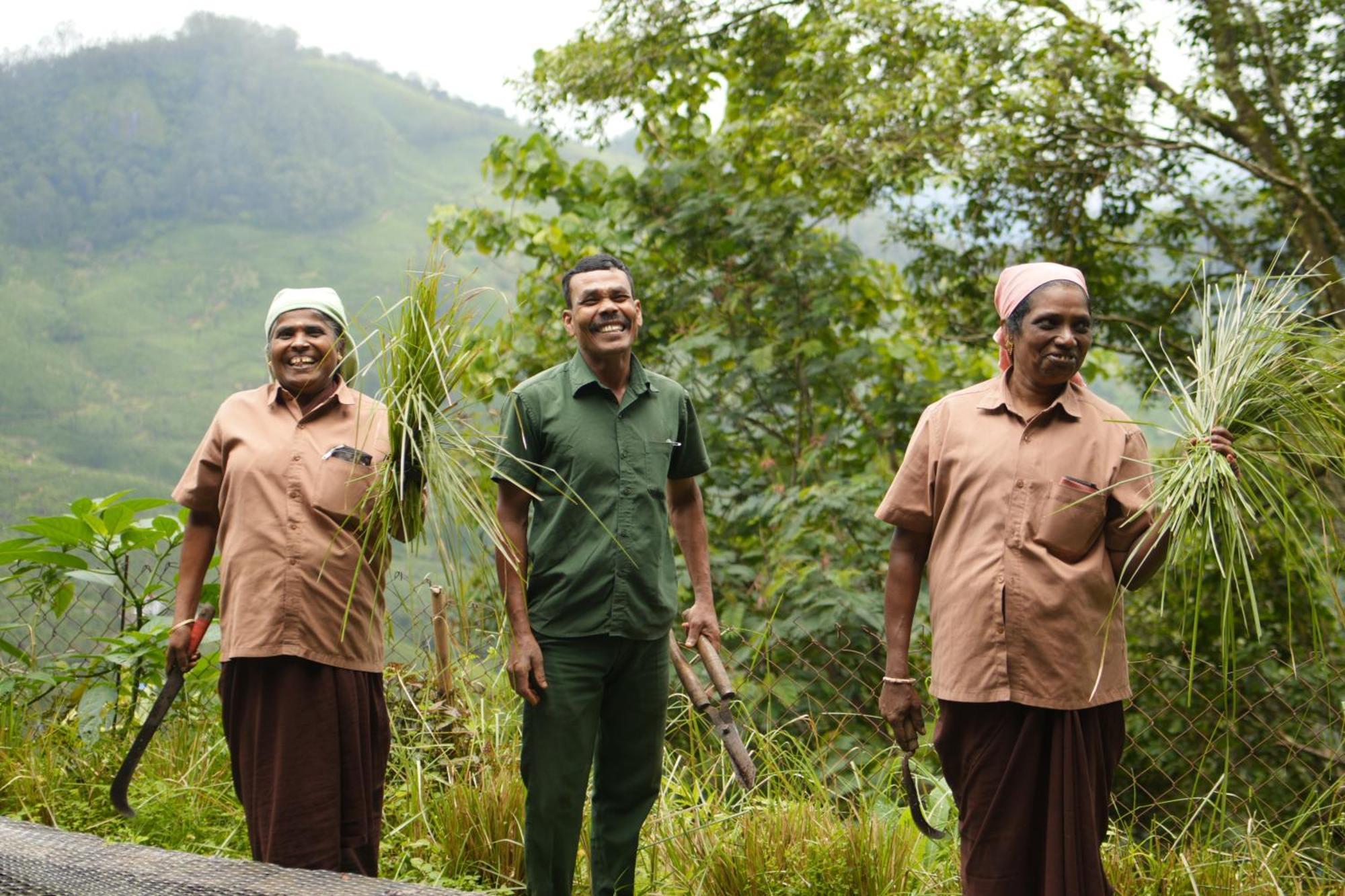 Blackberry Hills Munnar Nature Resort & Spa Exterior photo